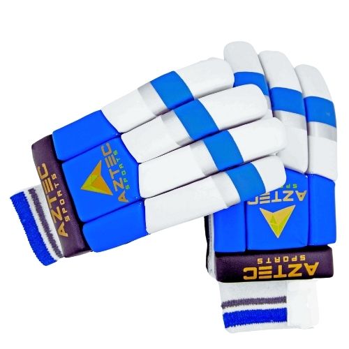 Aztec Blue 2.0 Cricket bating Gloves